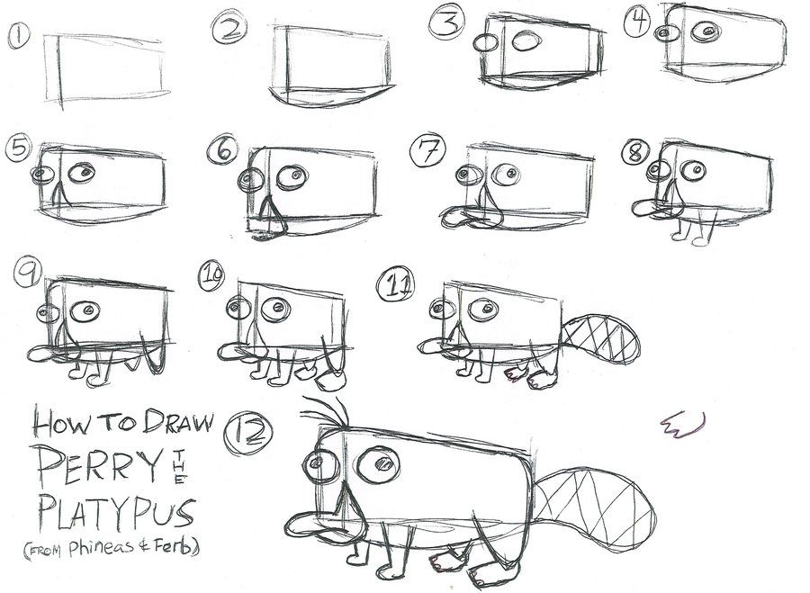 900x659 How To Draw Perry Drawings Perry The Platypus, Drawings, Platypus - Platypus Drawing Step Step