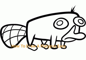 302x211 How To Draw A Platypus Easy How To Draw Perry The Platypus Easy - Platypus Drawing Step Step