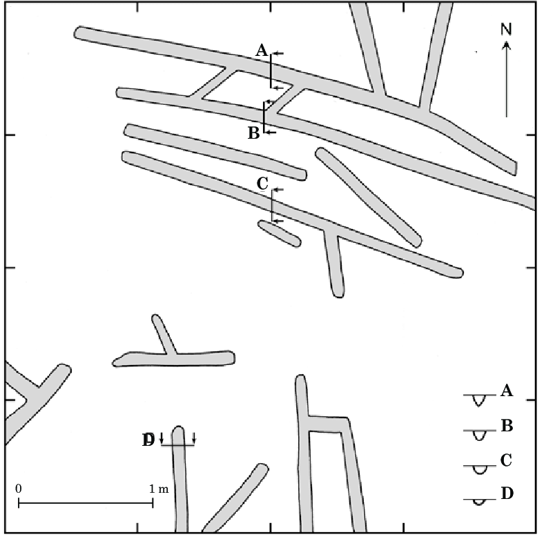 788x781 plough marks exposed - Plough Drawing