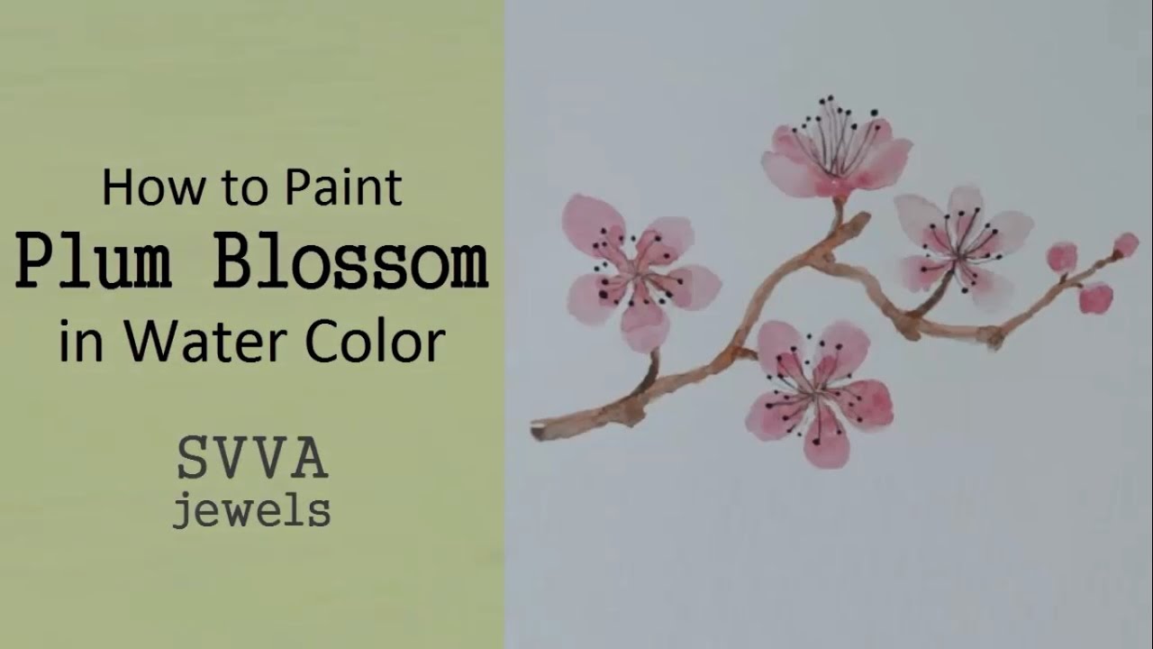 Plum Blossom Drawing at Explore collection of Plum
