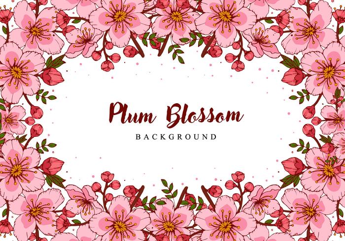 700x490 plum blossom hand draw background - Plum Blossom Drawing