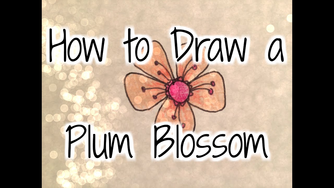 1280x720 how to draw a plum blossom - Plum Blossom Drawing