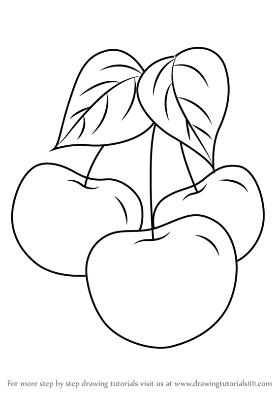 567x800 Learn How To Draw Plums - Plum Drawing