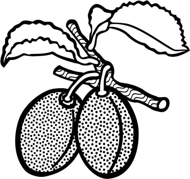 730x691 download line art plum drawing computer icons fruit - Plum Drawing