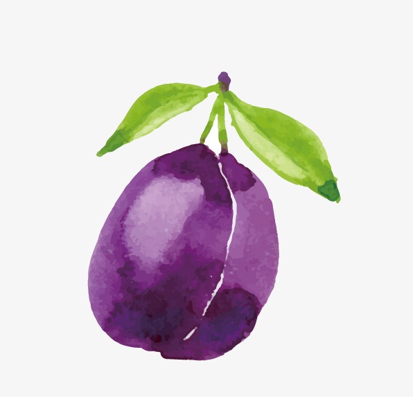 Plum Drawing at Explore collection of Plum Drawing