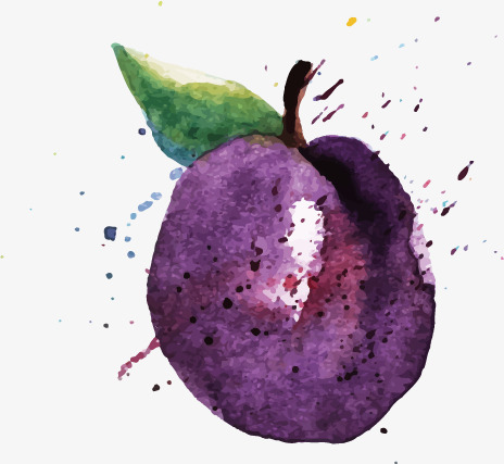 464x427 vector drawing plums, watercolor, fruit, plum png and vector - Plum Drawing