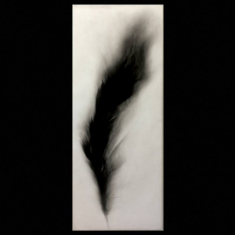 770x770 plume' drawing - Plume Drawing