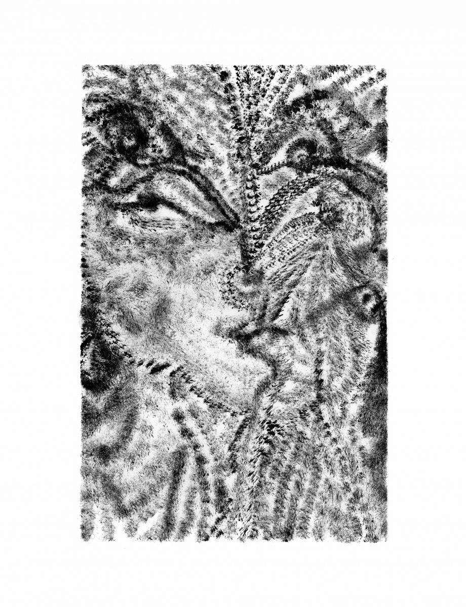 920x1200 plume - Plume Drawing