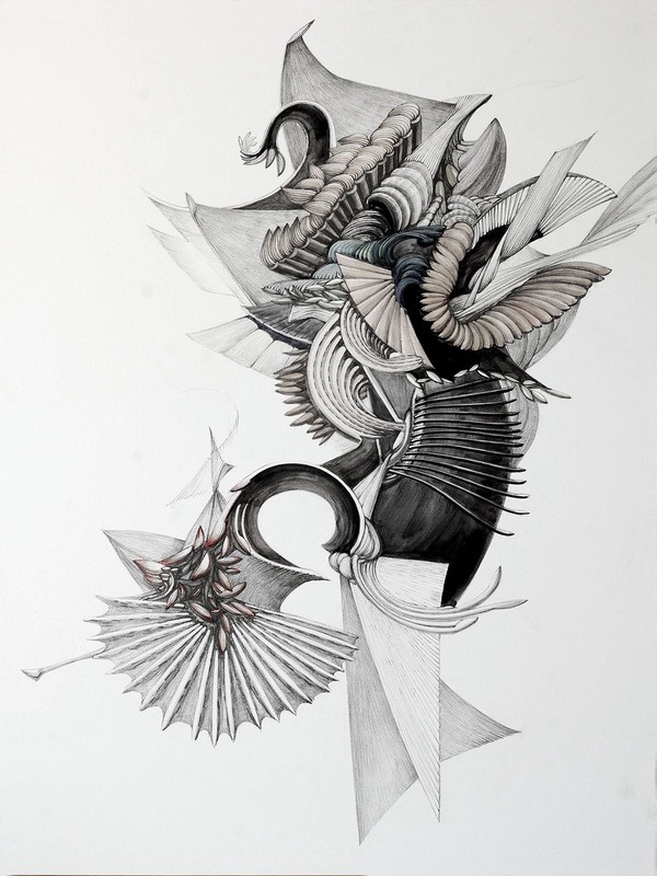 600x800 plume - Plume Drawing