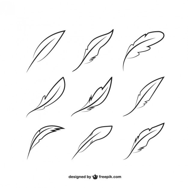 626x626 plume vectors, photos and free download - Plume Drawing