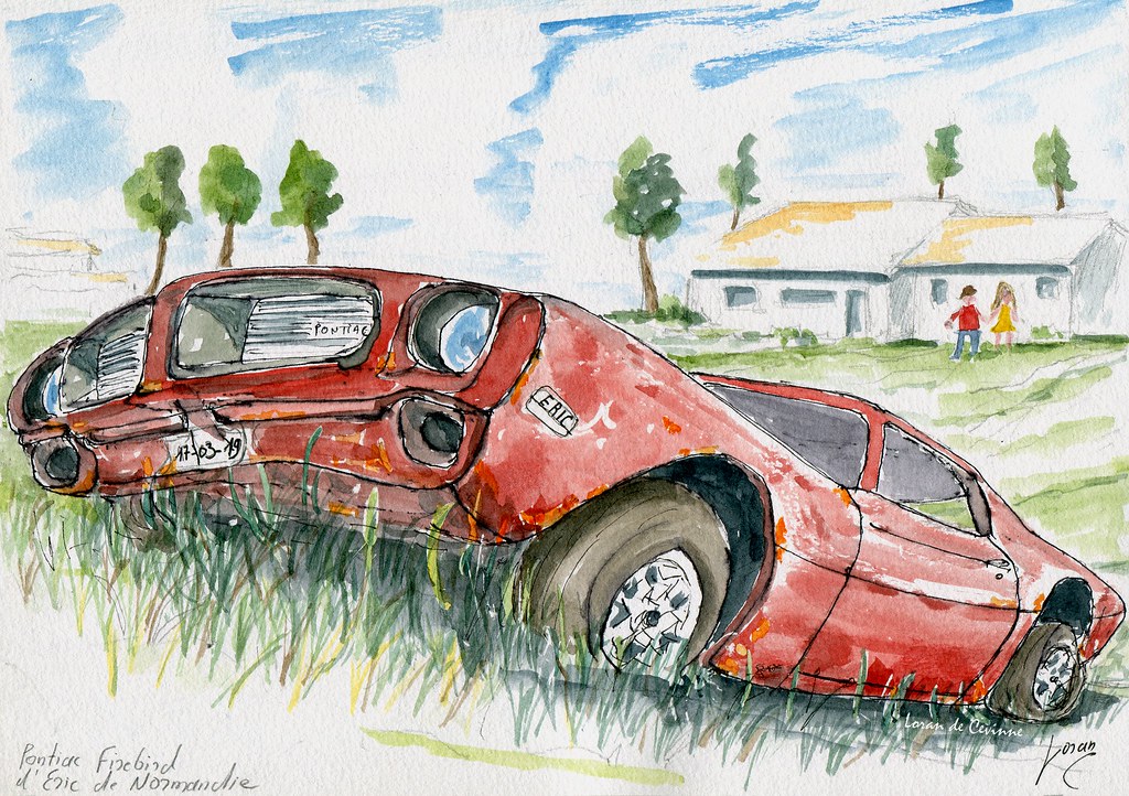 1024x722 the world's best photos of drawing and plume - Plume Drawing