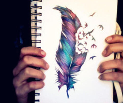 500x417 draw feather plume bird uploaded - Plume Drawing