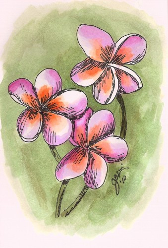 339x500 Original Pen Ink Drawing Sunset Plumerias Jaqui On Artfire - Plumeria Drawing