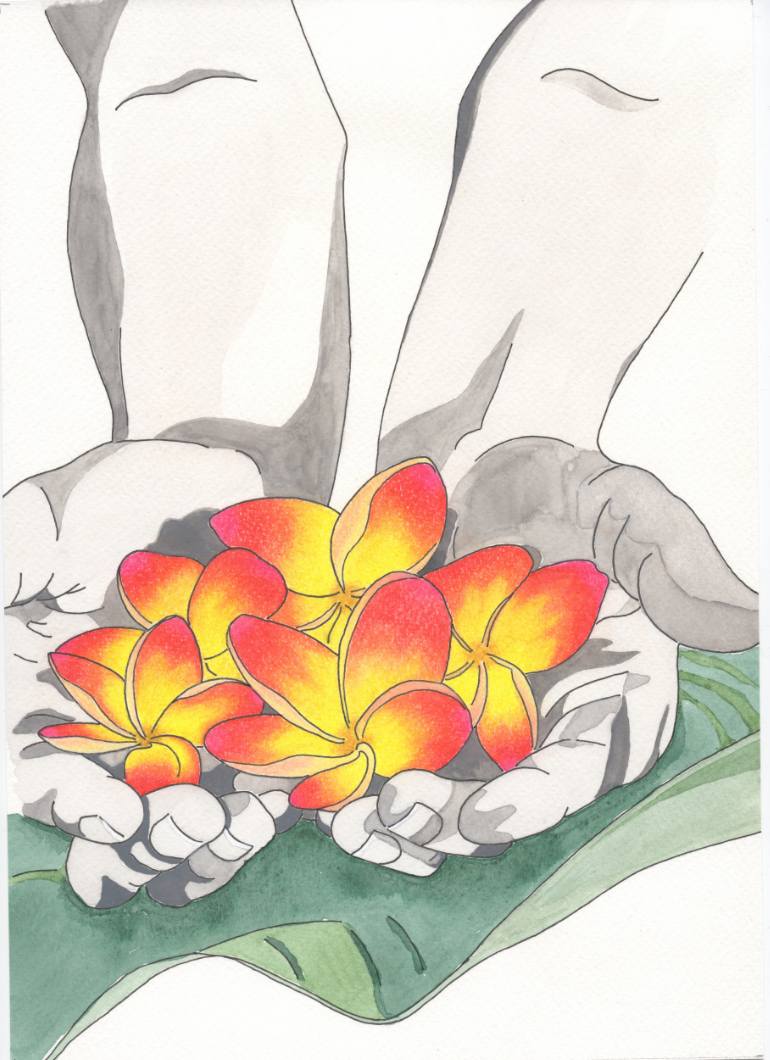 770x1060 Plumeria Drawing - Plumeria Drawing