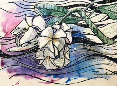 375x276 Plumeria - Plumeria Drawing