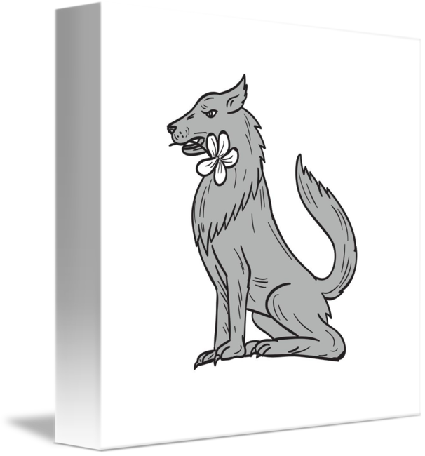 606x650 timber wolf sitting plumeria flower drawing - Plumeria Drawing
