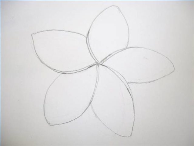 640x480 How To Draw Hawaiian Flowers Step - Plumeria Flower Drawing