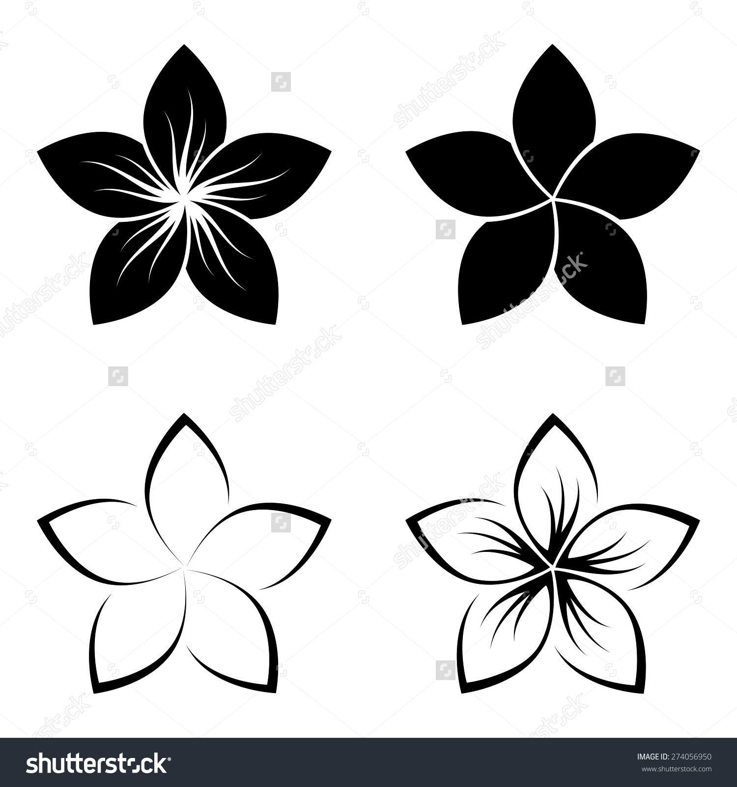 Plumeria Flower Drawing at Explore collection of