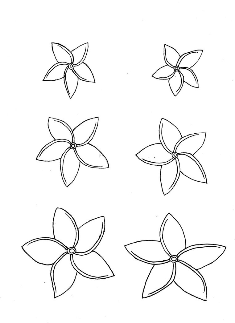 762x1049 plumeria drawing traditional for free download - Plumeria Flower Drawing