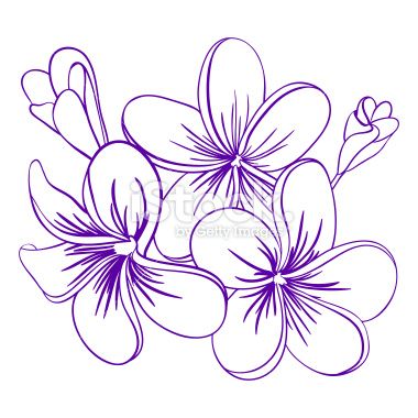 380x380 beautiful hand drawn plumeria flowers pretty cute sketch all - Plumeria Flower Drawing