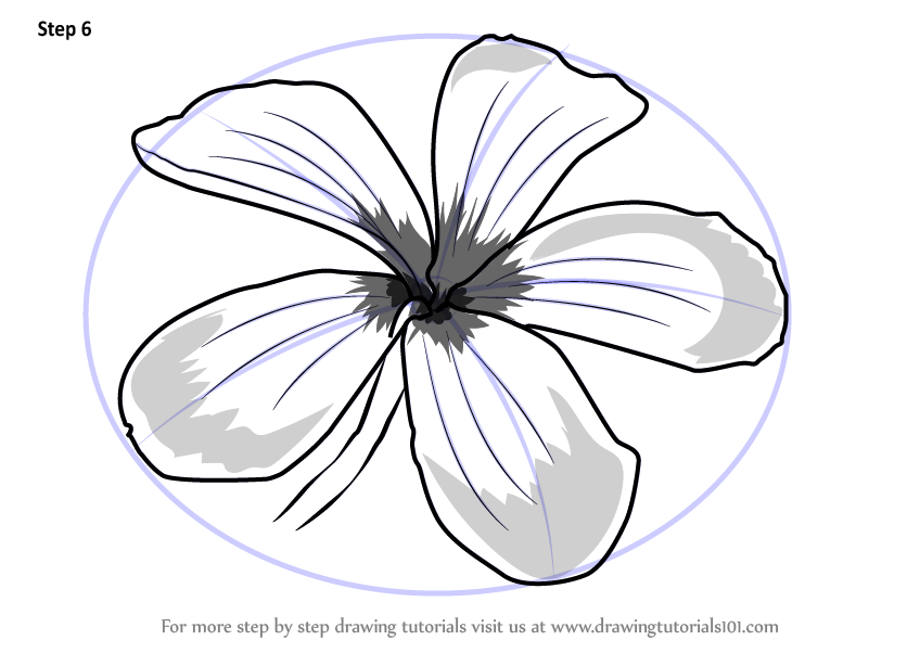 848x602 Draw Frangipani Flowers Easy - Plumeria Line Drawing