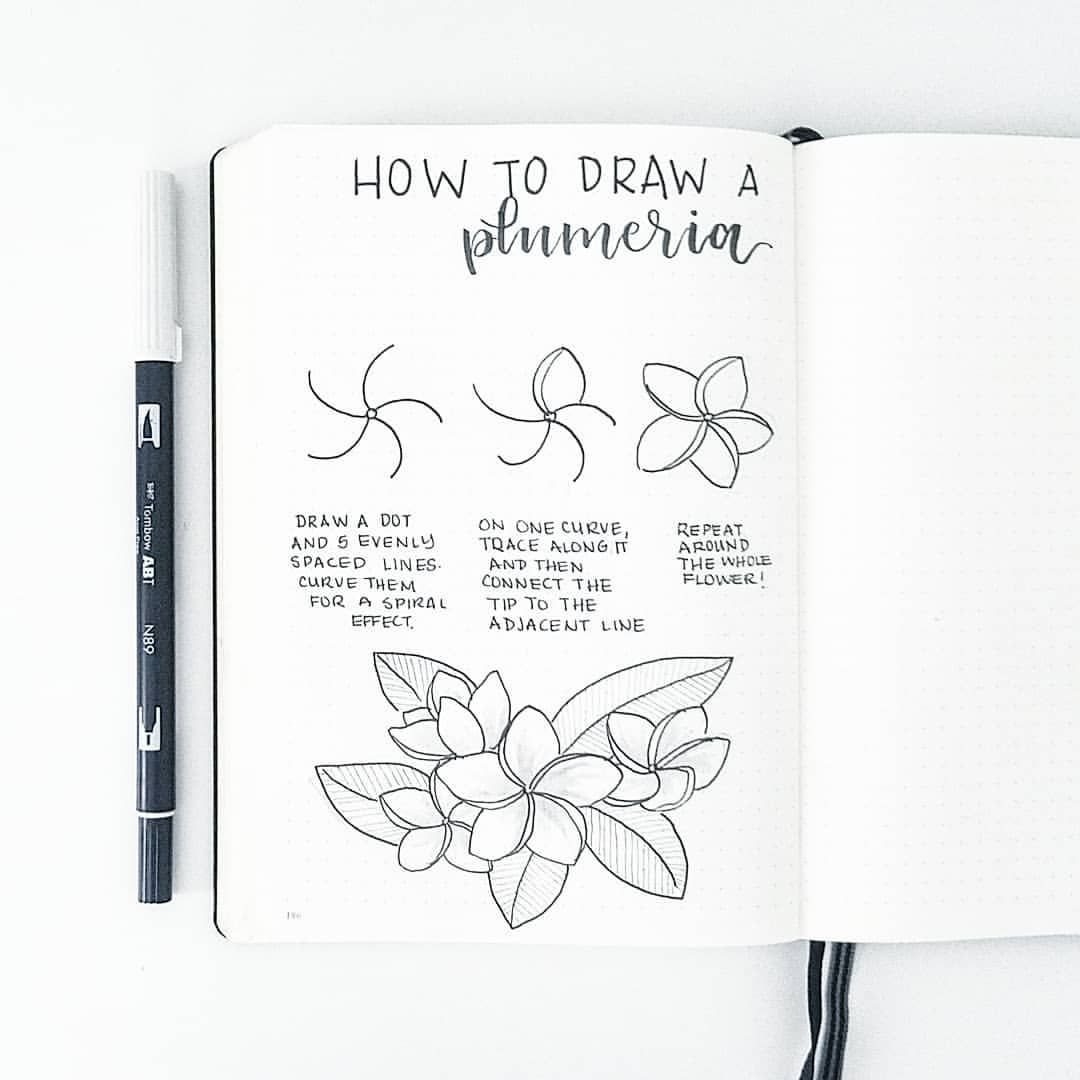 1080x1080 Easy Paintings To Draw How To Draw A Plumeria These Little Guys - Plumeria Line Drawing