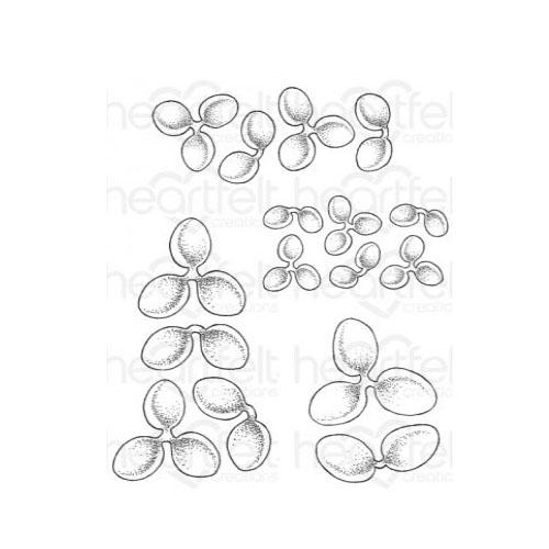 500x500 Tropical Plumeria Stamp Set Jc's Little Hands - Plumeria Line Drawing