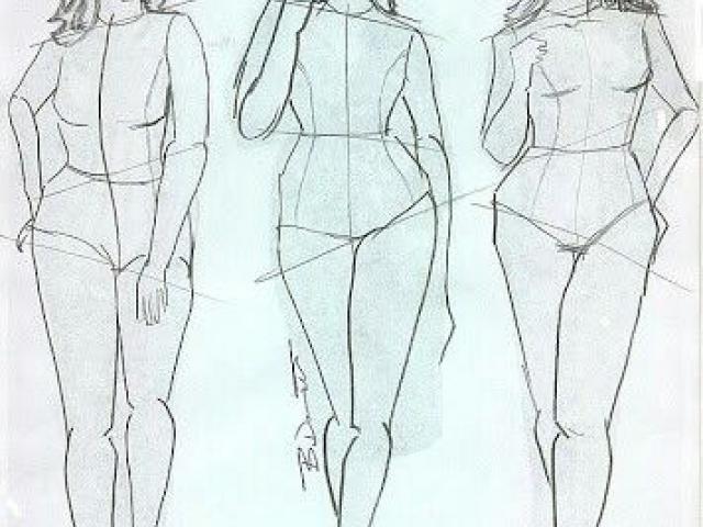 640x480 drawn templates plus size - Plus Size Figure Drawing