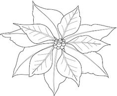 236x195 best poinsettia images poinsettia, xmas, christmas - Poinsettia Drawing