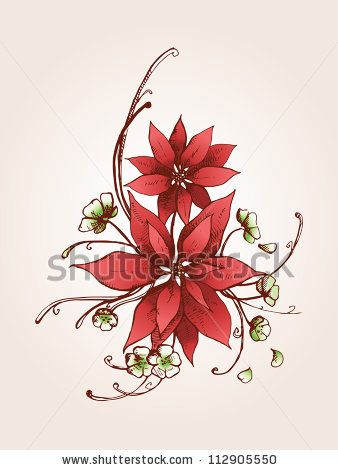 338x470 Poinsettia Drawing - Poinsettia Drawing