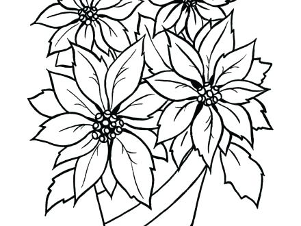 440x330 Coloring Pages Disney Pdf For Kids Easy Poinsettia - Poinsettia Drawing Outline