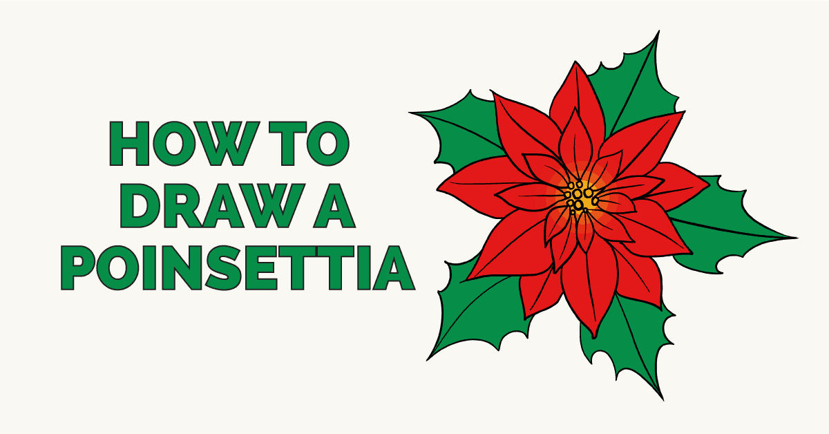 1200x628 How To Draw A Poinsettia - Poinsettia Drawing Outline