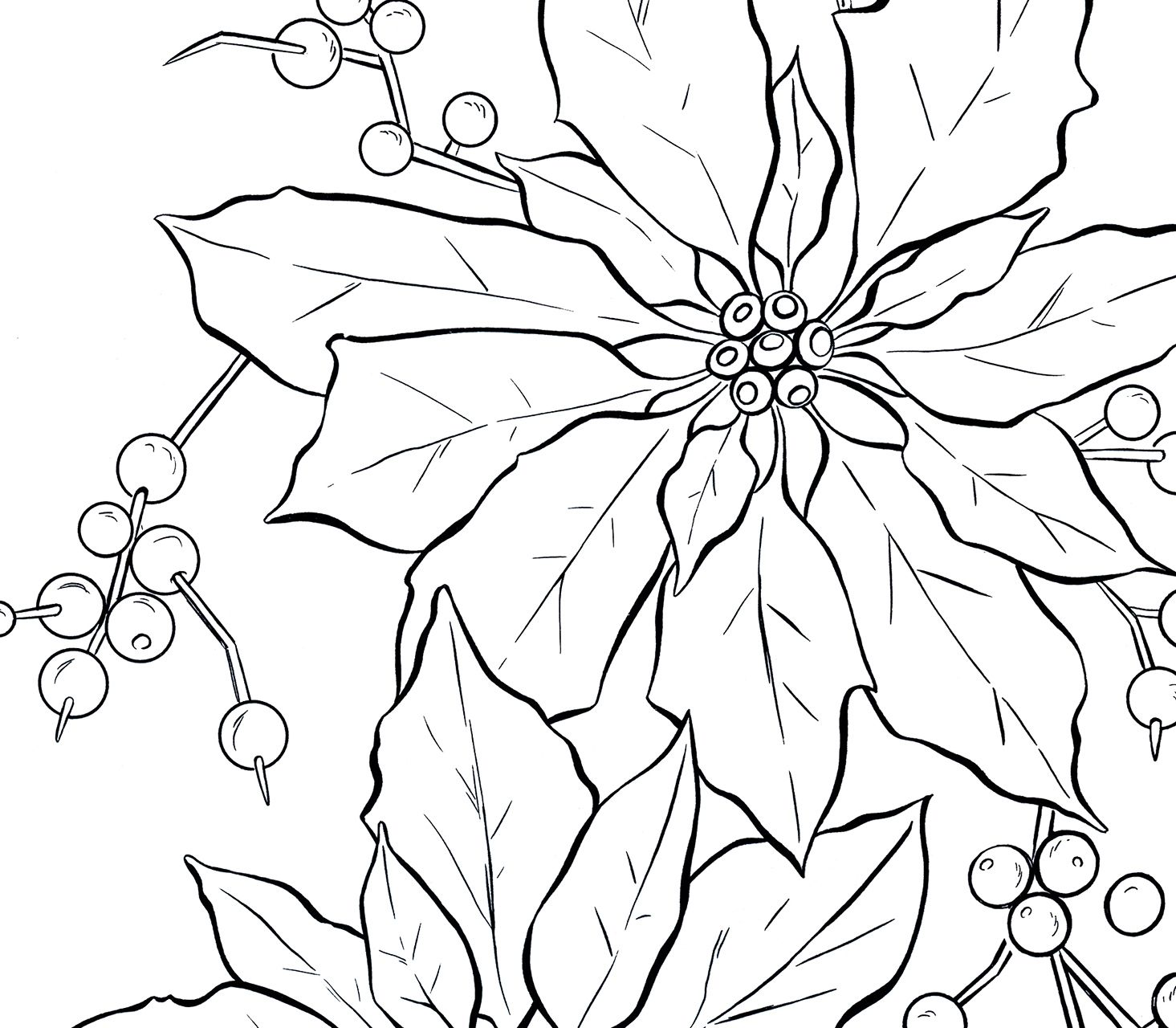 1465x1280 Poinsettia Line Art - Poinsettia Drawing Outline