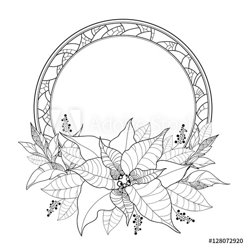 500x500 vector poinsettia or christmas star, leaves and ornate round frame - Poinsettia Drawing Outline