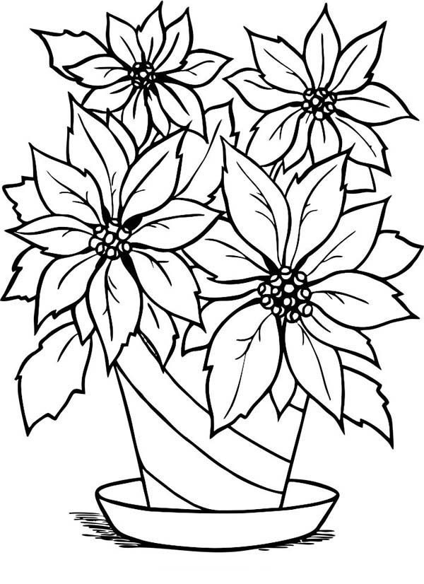 600x826 Building Plan Drawing - Poinsettia Drawing Outline