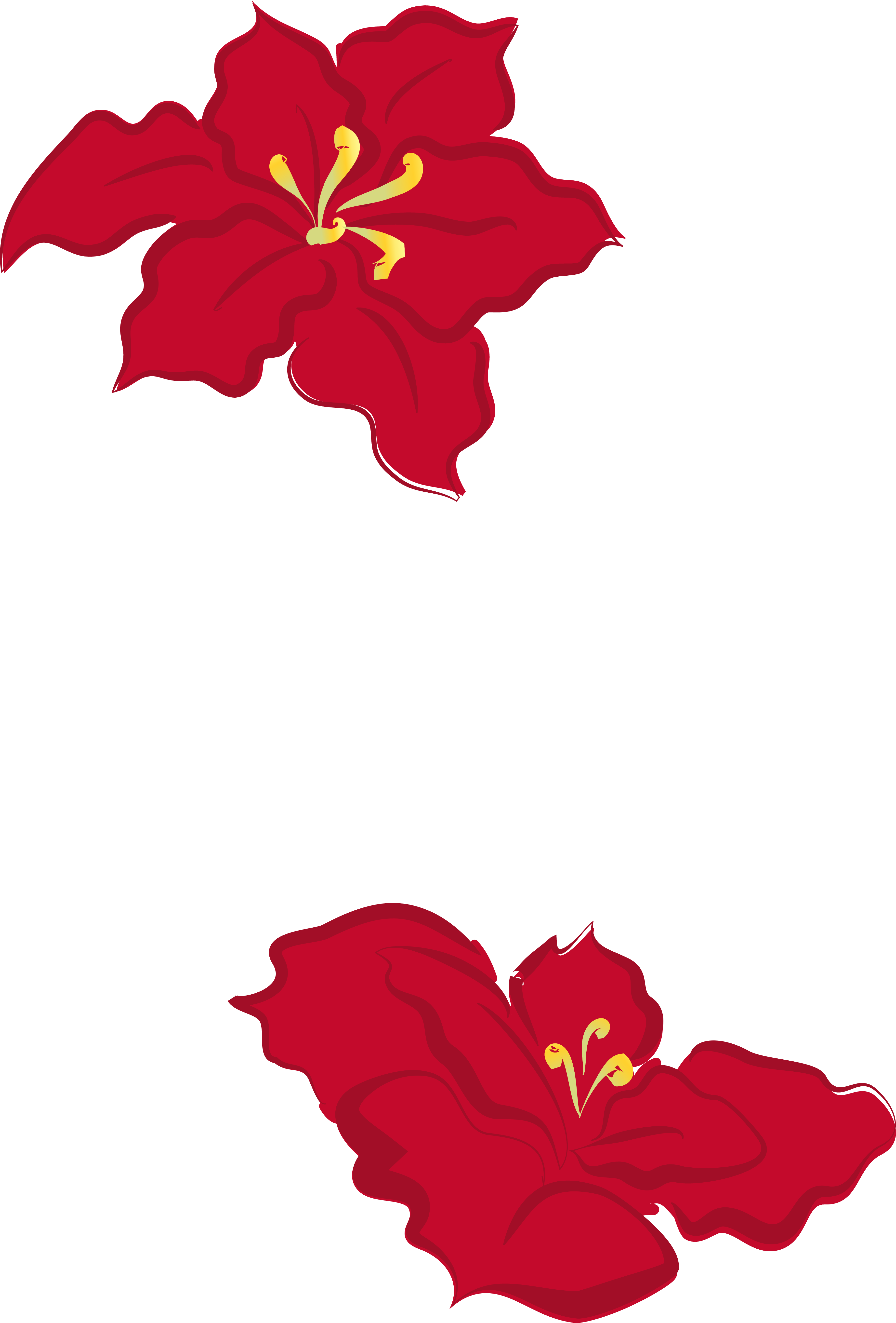 3652x5390 Collection Of Free Poinsettia Drawing Cute Download On Ui Ex - Poinsettia Drawing Outline