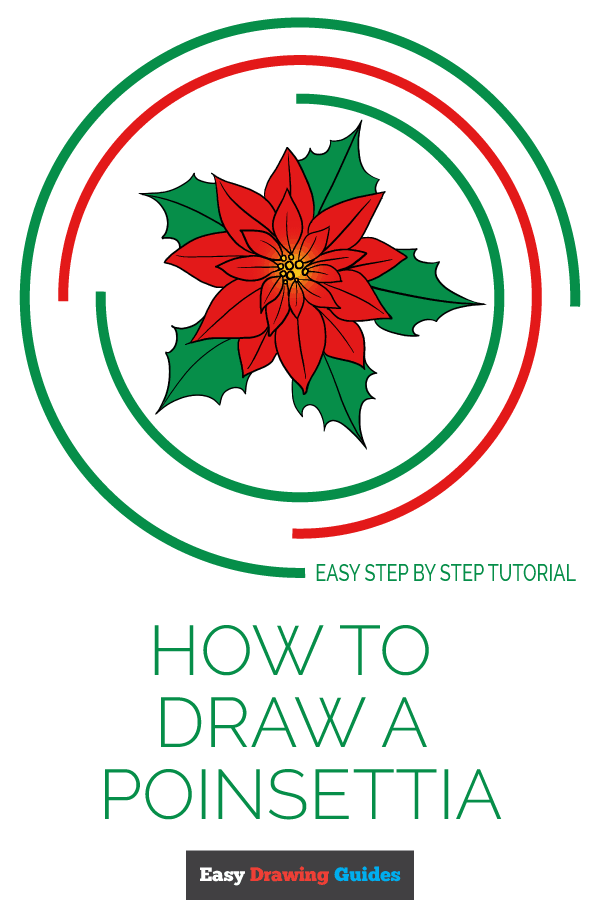 600x900 How To Draw A Poinsettia - Poinsettia Flower Drawing