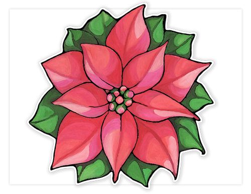 500x385 Poinsettia Flower Watercolor Poinsettia Flower, Poinsettia - Poinsettia Flower Drawing