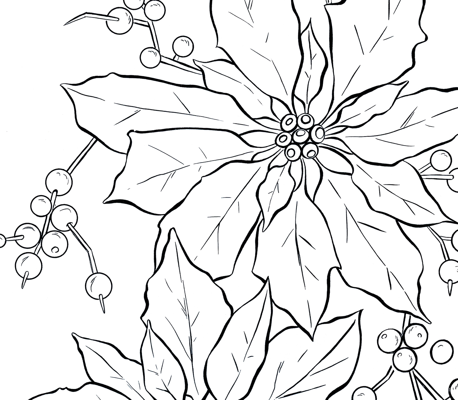1465x1280 Poinsettia Line Art - Poinsettia Flower Drawing