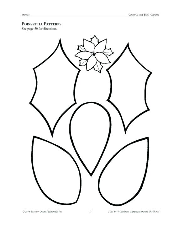 555x720 Poinsettia Drawing Free Download - Poinsettia Flower Drawing