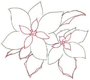 300x269 poinsettias drawings happy holidays! - Poinsettia Flower Drawing