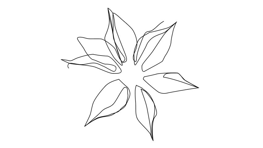 852x480 Sketch Vector Drawing Doodle Poinsettia Flower - Poinsettia Flower Drawing