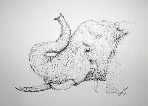 500x359 my elephant drawing - Pointillism Drawing