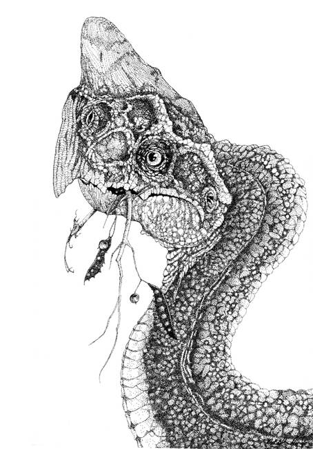 454x650 pointillism oviraptor - Pointillism Drawing