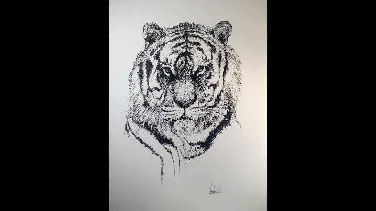 1280x720 realistic tiger pointillism drawing - Pointillism Drawing