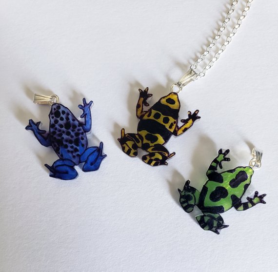570x558 hand drawn poison dart frogs customize minimalist necklace etsy - Poison Dart Frog Drawing