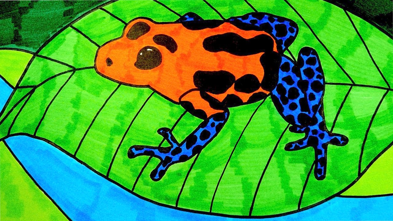 1280x720 How To Draw A Poison Dart Frog - Poison Dart Frog Drawing