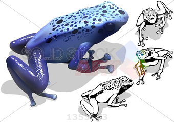 340x240 Stock Illustration Of Set Of Colored Outline Drawings Of Blue - Poison Dart Frog Drawing