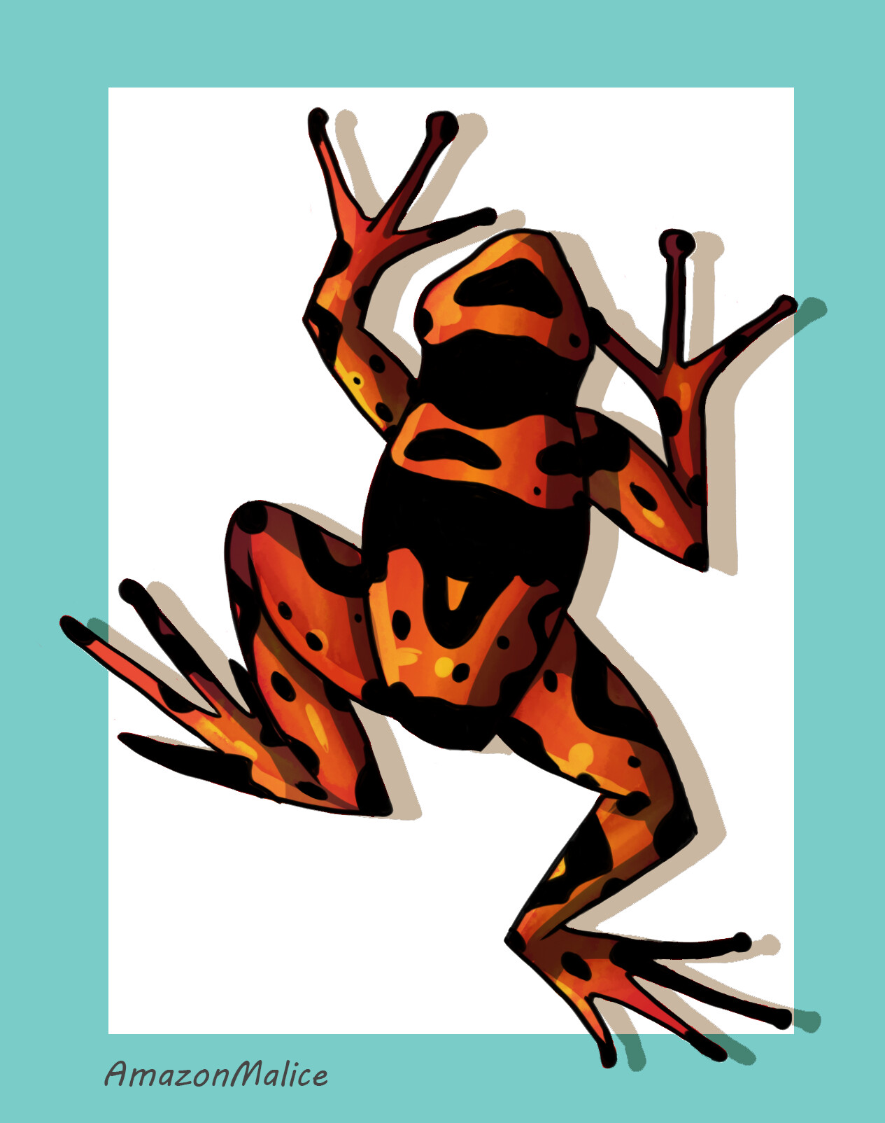 Poison Dart Frog Drawing at Explore collection of