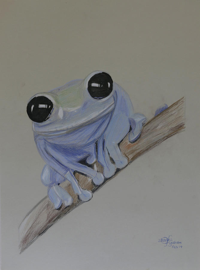 668x900 Blue Poison Dart Frog Drawing - Poison Dart Frog Drawing